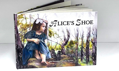 Alice's Shoe book cover
